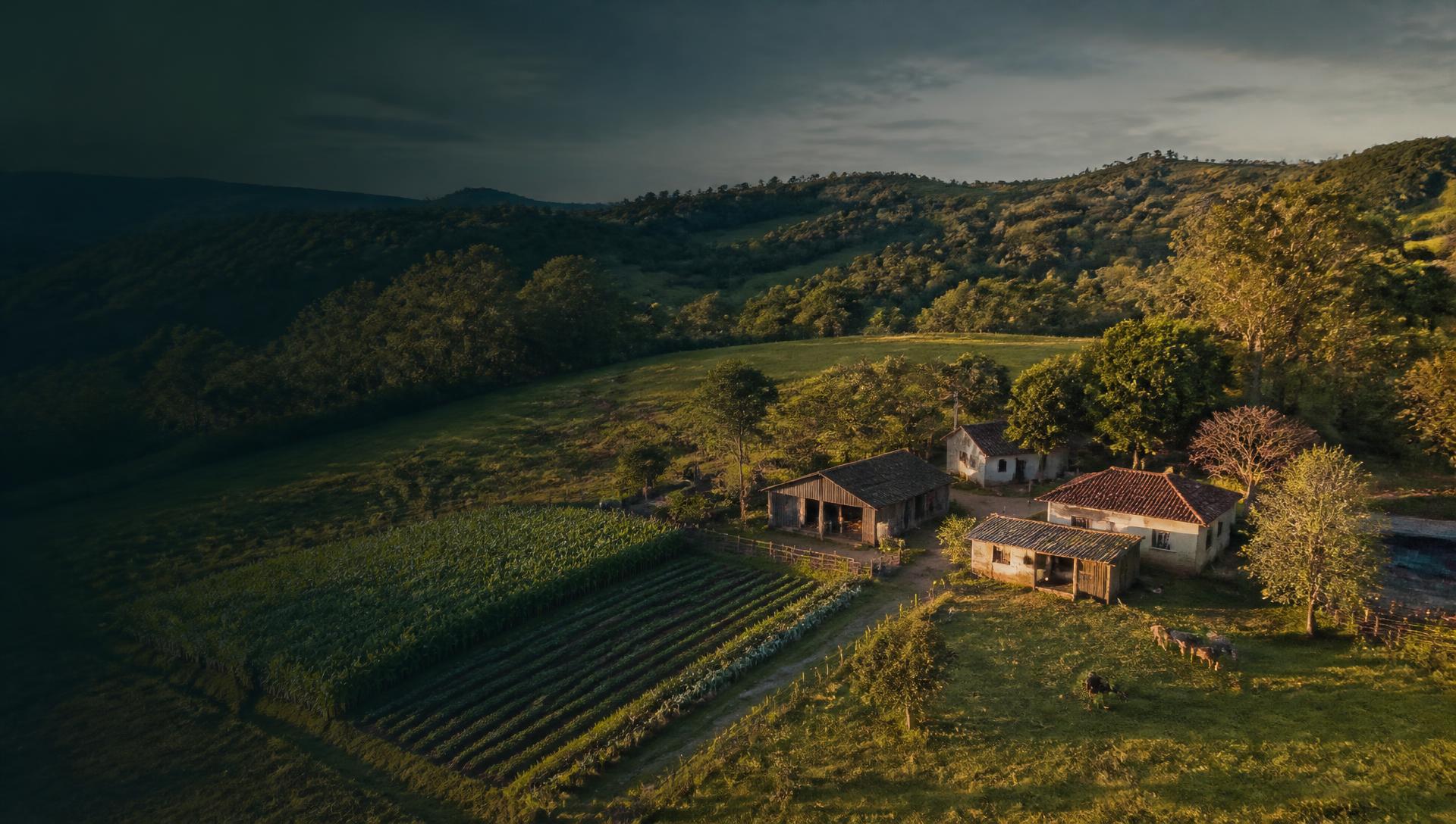 Pequena propriedade rural familiar brasileira com lavoura e sede